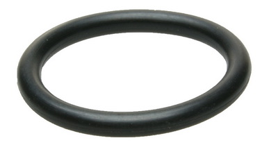 Кольцо уплотнительное верхней боковой заглушки (590101019)