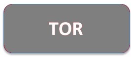 Ремкомплекты TOR